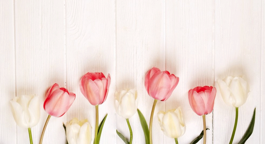 巨元之窗&mdash;&mdash;深巨元2018年11月月刊