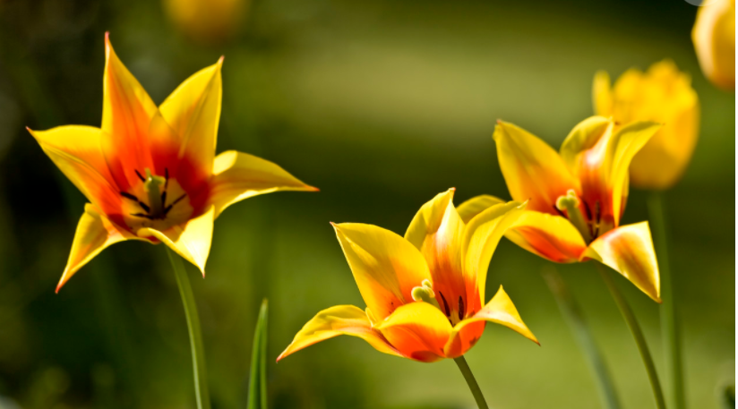 巨元之窗&mdash;&mdash;深巨元2018年12月月刊