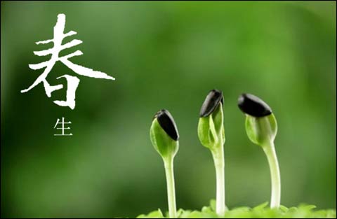 巨元之窗&mdash;&mdash;深巨元2019年3月月刊