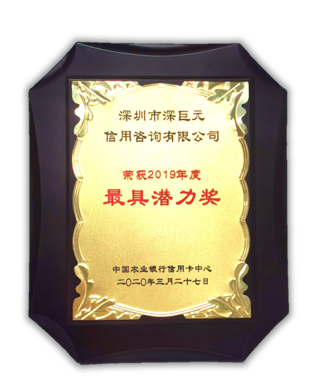 深巨元荣获中国农业银行信用卡中心2019年度&ldquo;最具潜力奖&rdquo;