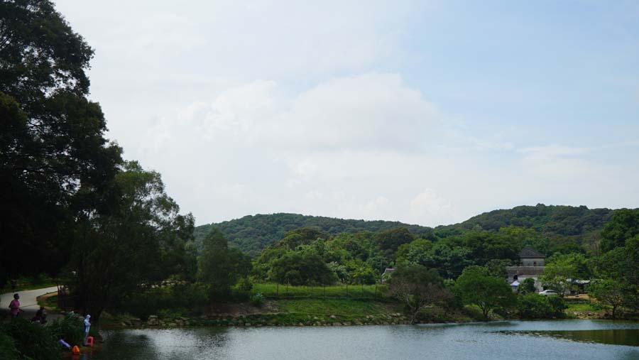 职能部门——踏青马峦山乐享初夏