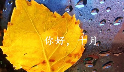 巨元之窗——深巨元2017年10月月刊